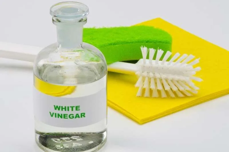 Can Vinegar Be Used in Septic Systems What Experts Say.