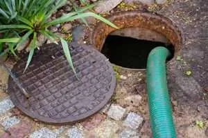 What Does Septic Safe Mean