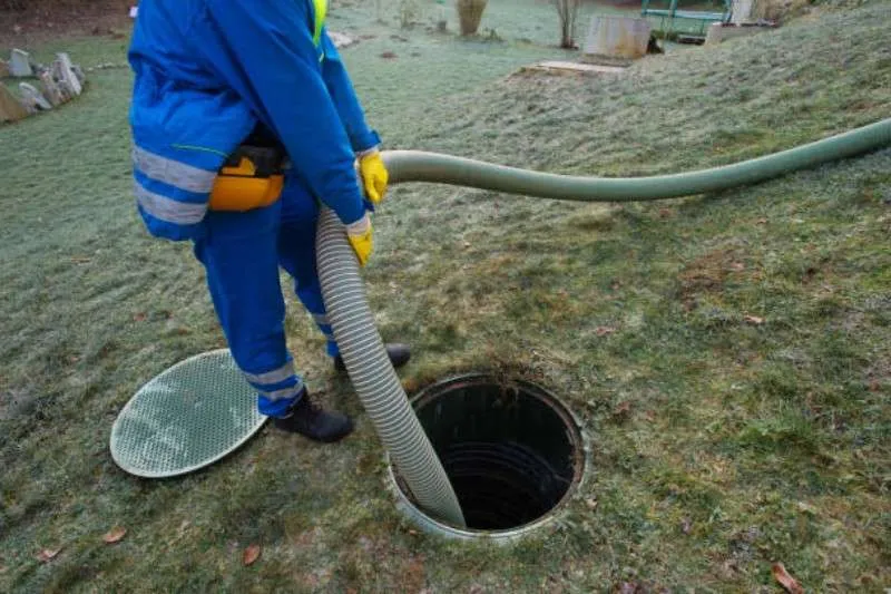 What Does Septic Safe Mean Definition and Explanation