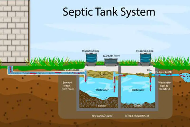 The Environmental Impact of Septic Tanks