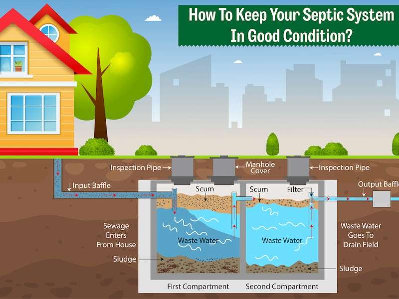 Top Rated Septic Tank Treatment