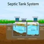 Role of Enzymes in Septic Tank