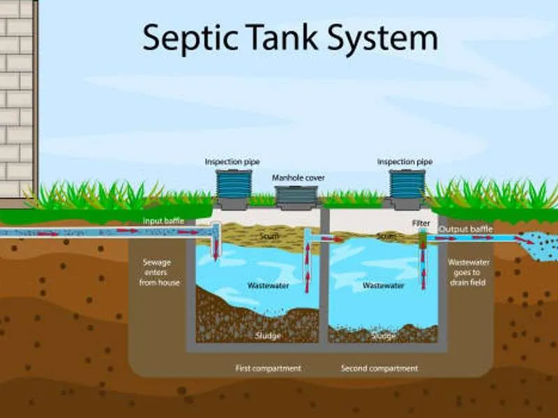 Role of Enzymes in Septic Tank